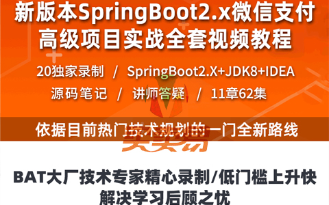 新版本Spring Boot2.X整合微信支付教育站实战视频