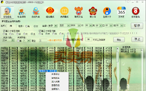 精准八字宝宝取名软件专业版