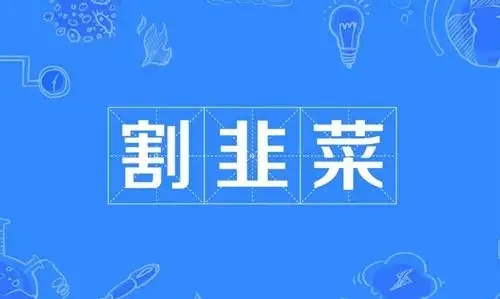 2024年全部割韭菜网创项目合集